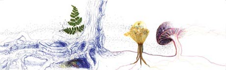 Stuifsporen rgb gespiegeld